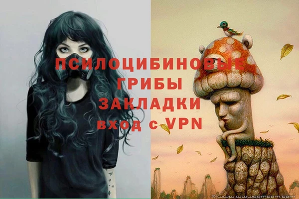 меф Бородино