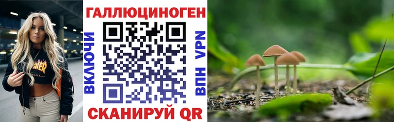 Галлюциногенные грибы Magic Shrooms Мончегорск