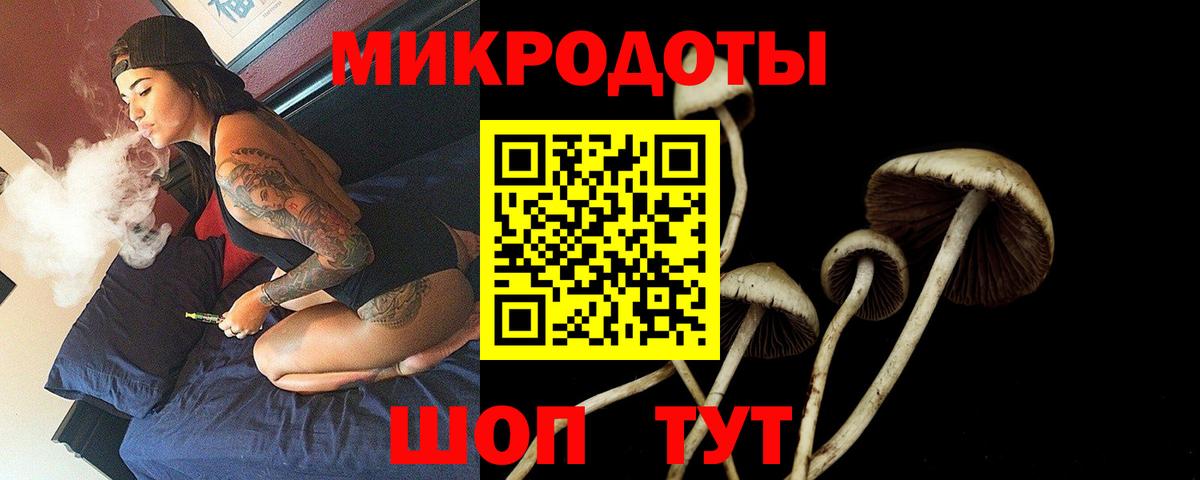 Галлюциногенные грибы Cubensis  Вход с VPN  Мончегорск  Галлюциногенные грибы мухоморы 